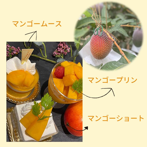 自社農園マンゴースイーツ本日より販売開始