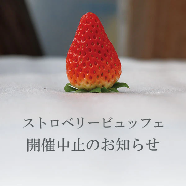 ストロベリービュッフェ開催中止のお知らせ